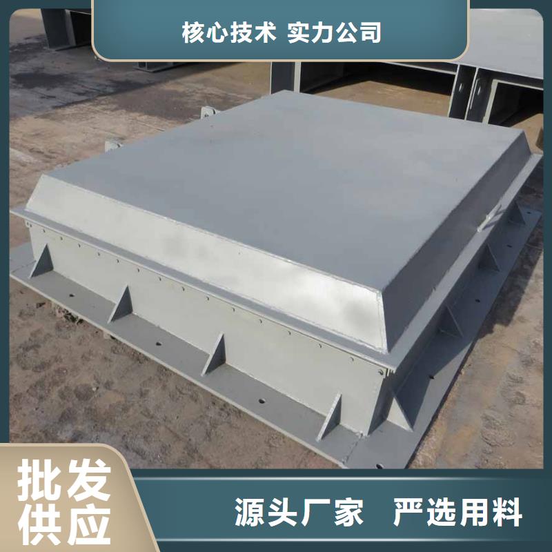 采购拍门-实体厂家可定制品质做服务