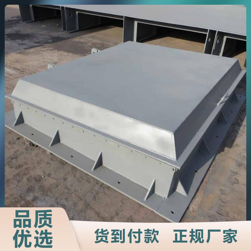 供应拍门_优质厂家本地生产厂家
