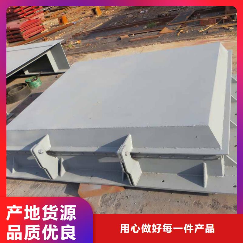 拍门定制加工规格齐全实力厂家