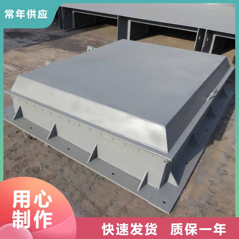 专业生产制造拍门本地生产厂家