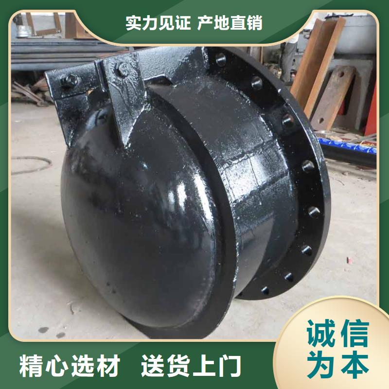 发货及时的拍门公司同城经销商