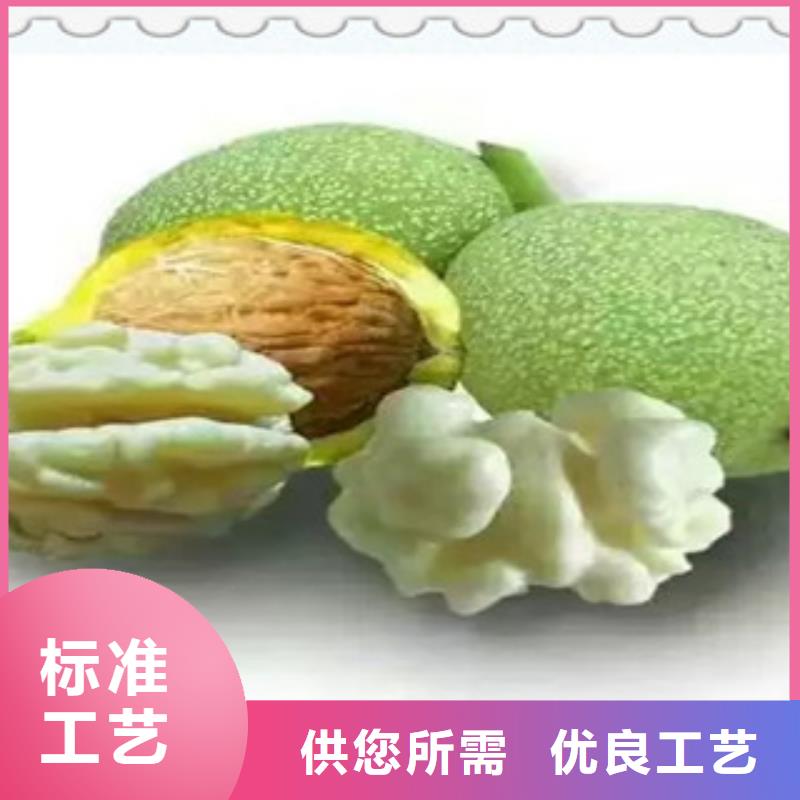 买的放心-核桃苗厂家