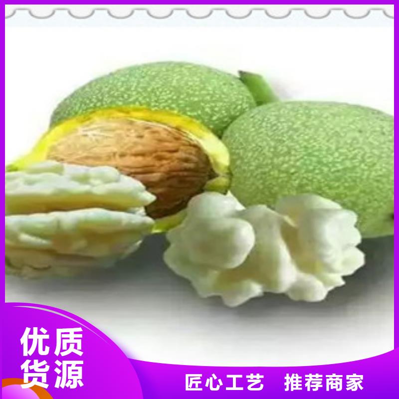 核桃苗提供定制