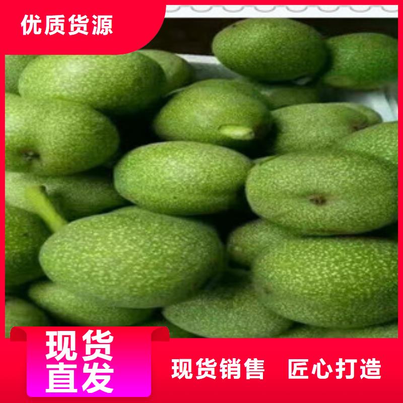 核桃苗销售地址