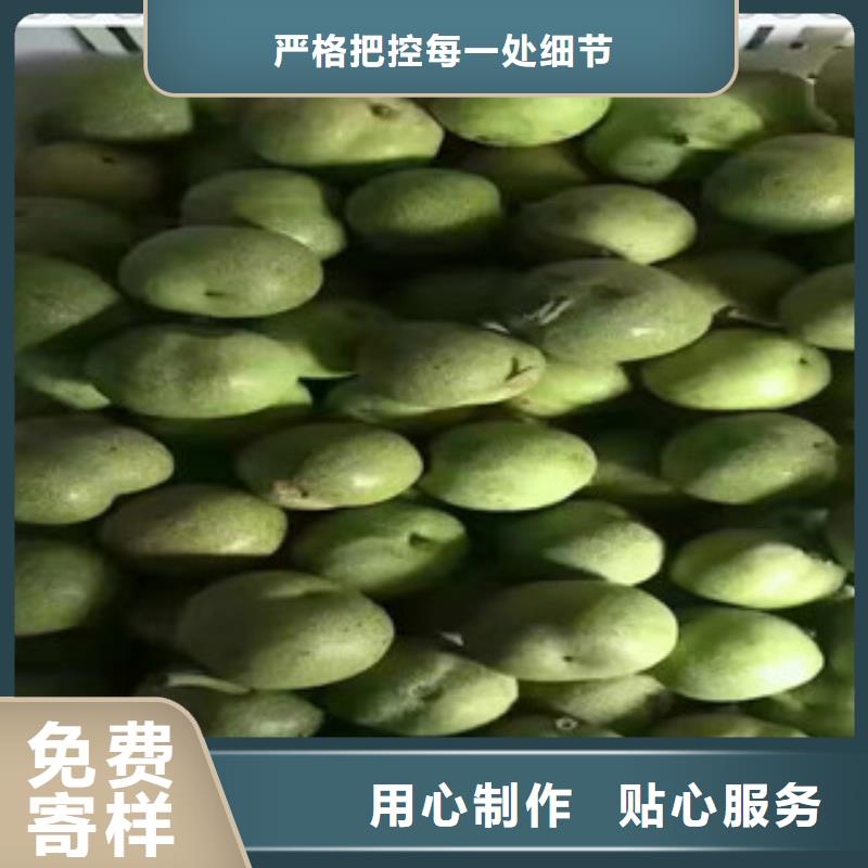 供应批发核桃苗-保质
