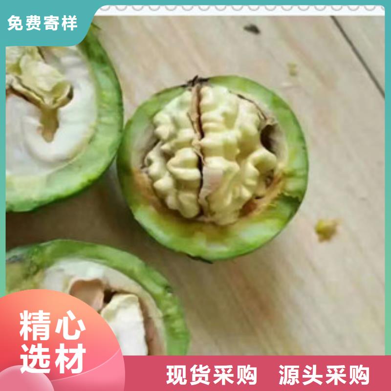 核桃苗质保时间长