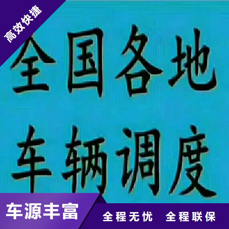 物流徐闻老品牌高品质