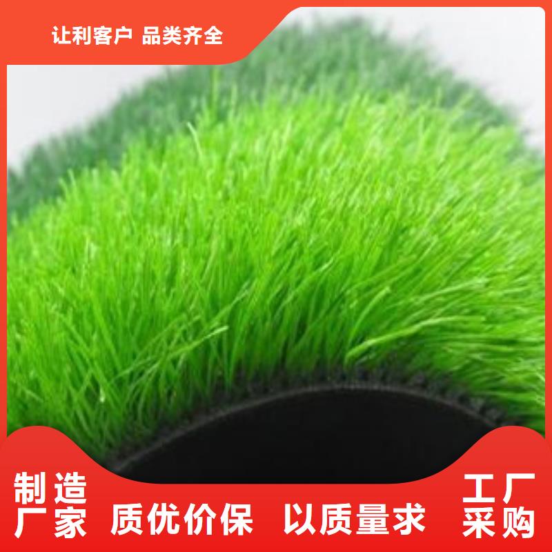 古塔人造草坪多少钱