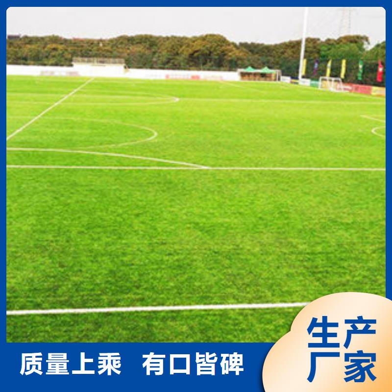 凌河人造草坪2厂家服务周到