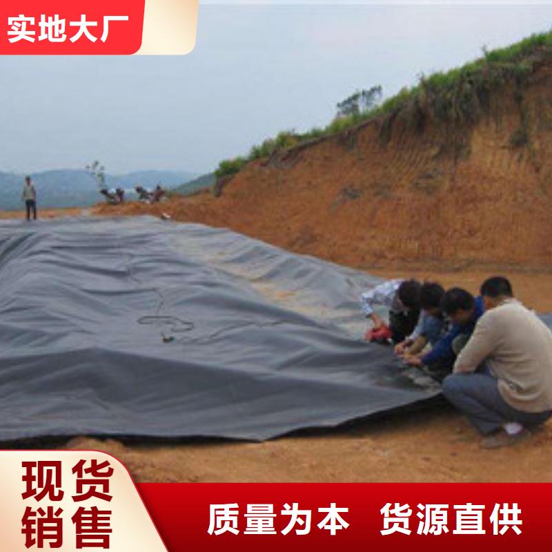 现货供应土工膜_生产厂家