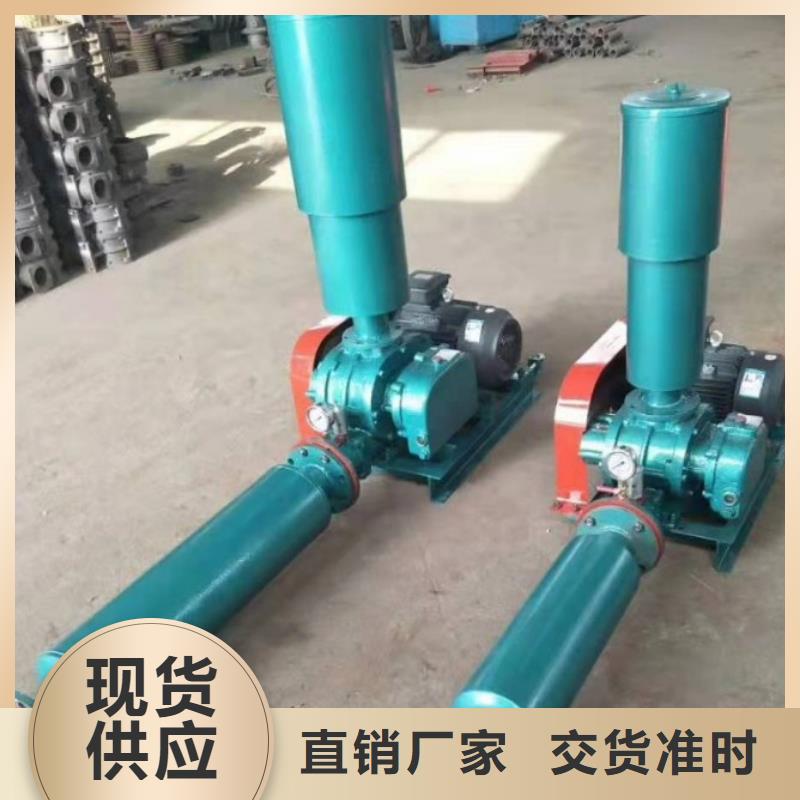 诚信供应罗茨鼓风机的厂家本地制造商