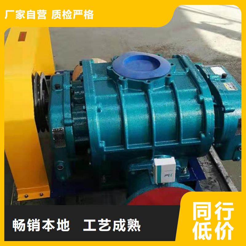 罗茨鼓风机图文介绍