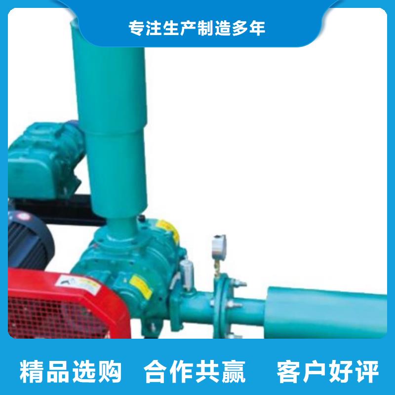 慈溪罗茨鼓风机厂家