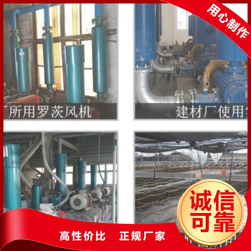 罗茨风机厂家长期供应