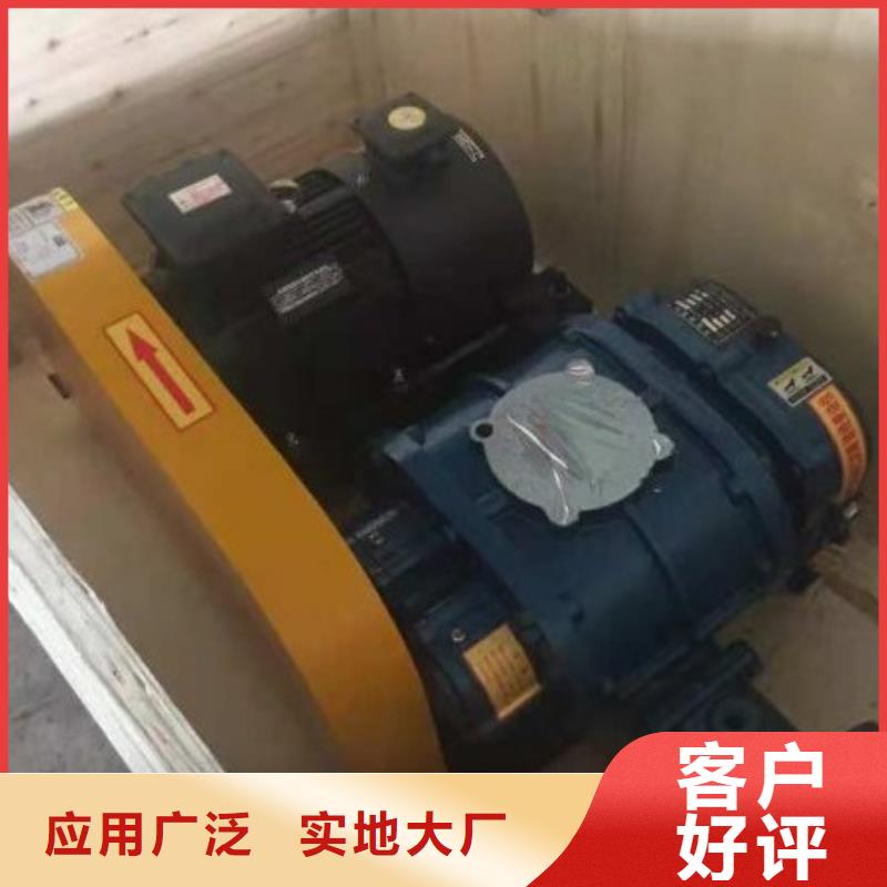 三叶罗茨风机现货厂家