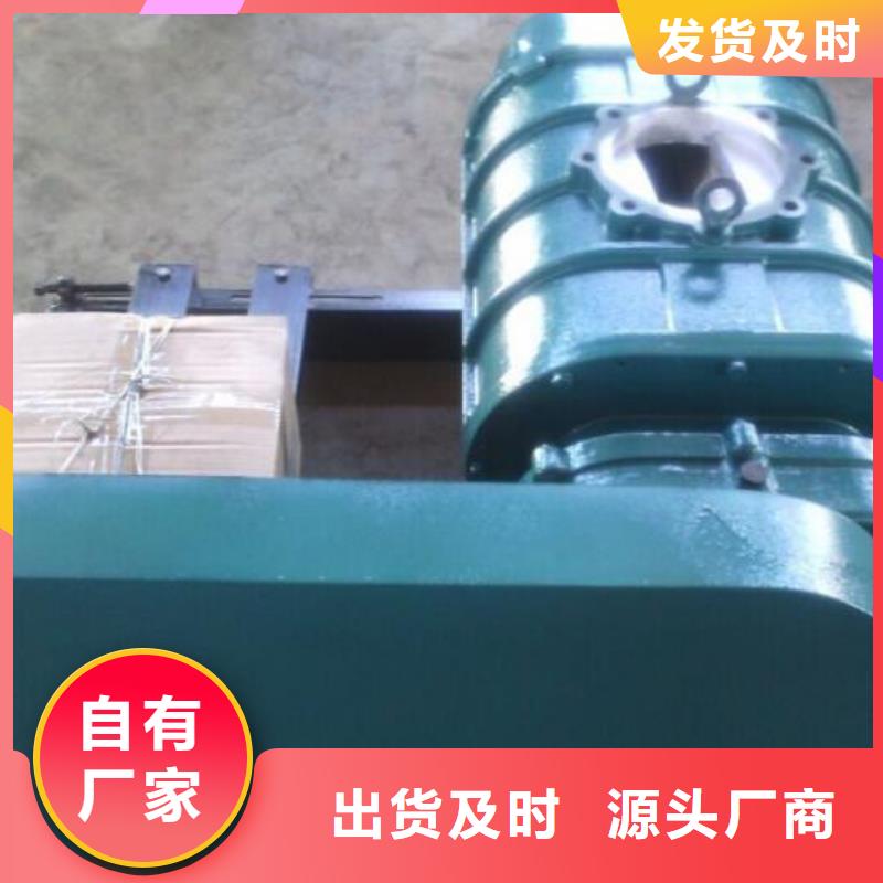 发货速度快的三叶罗茨风机厂家