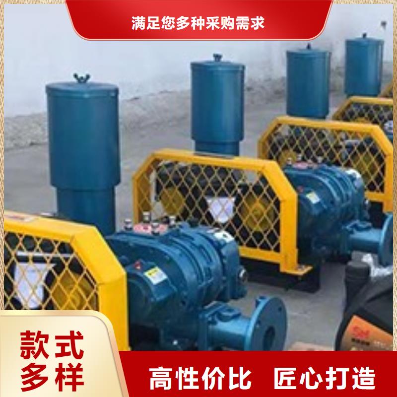 不锈钢罗茨风机_支持定制