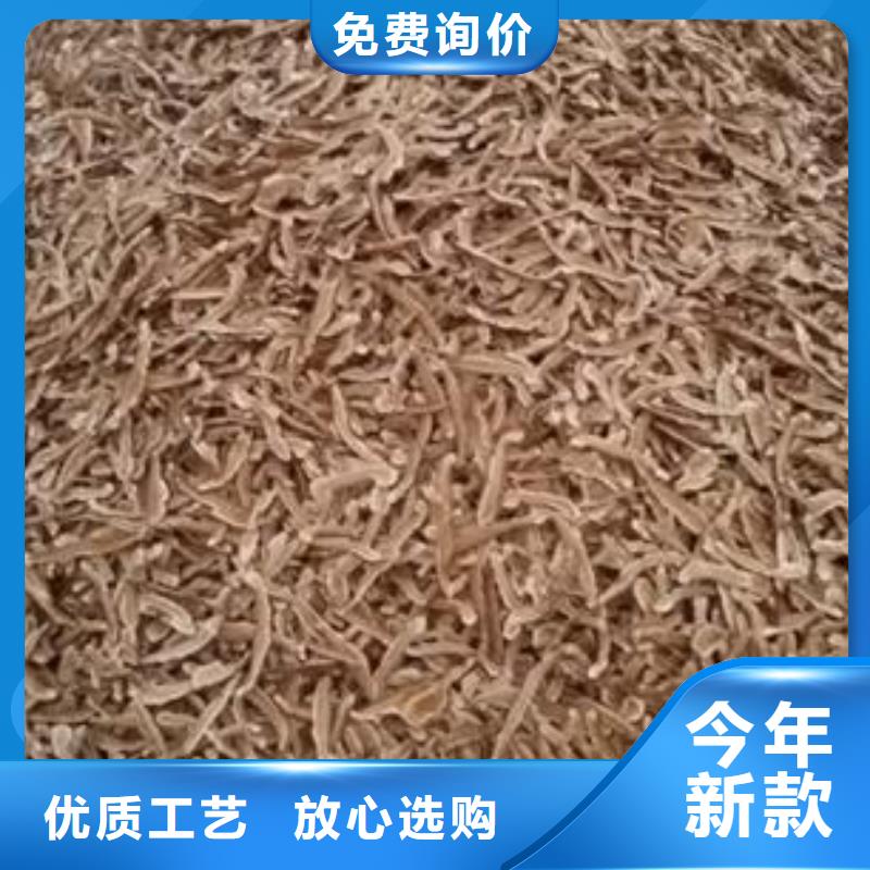 灵芝技术培训班