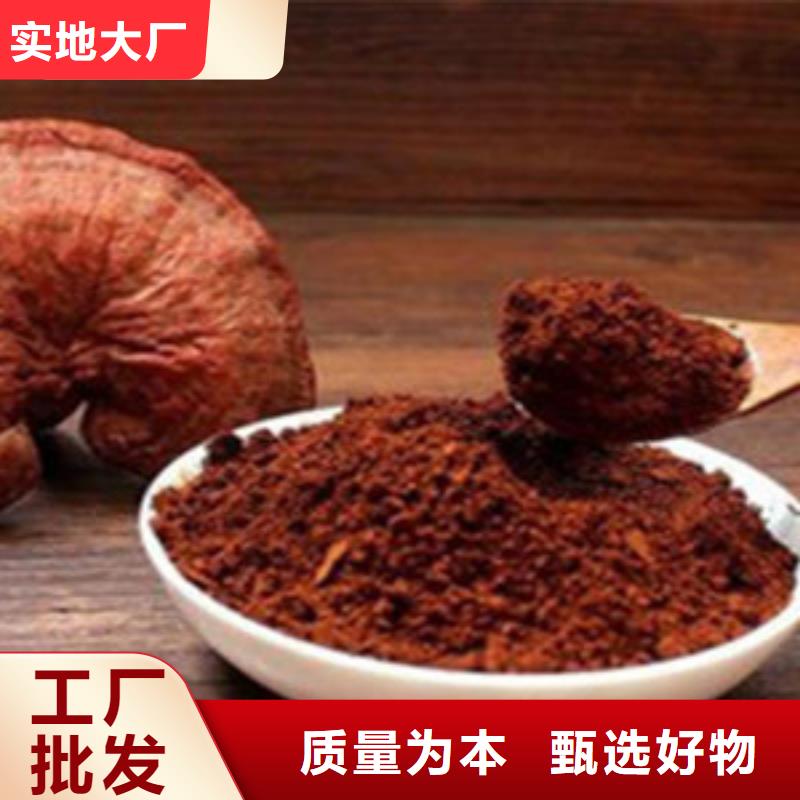 灵芝技术免费培训欢迎来电