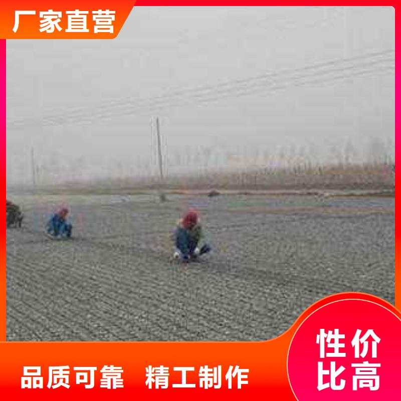 纳雍土工格栅、土工格栅厂家直销-价格实惠