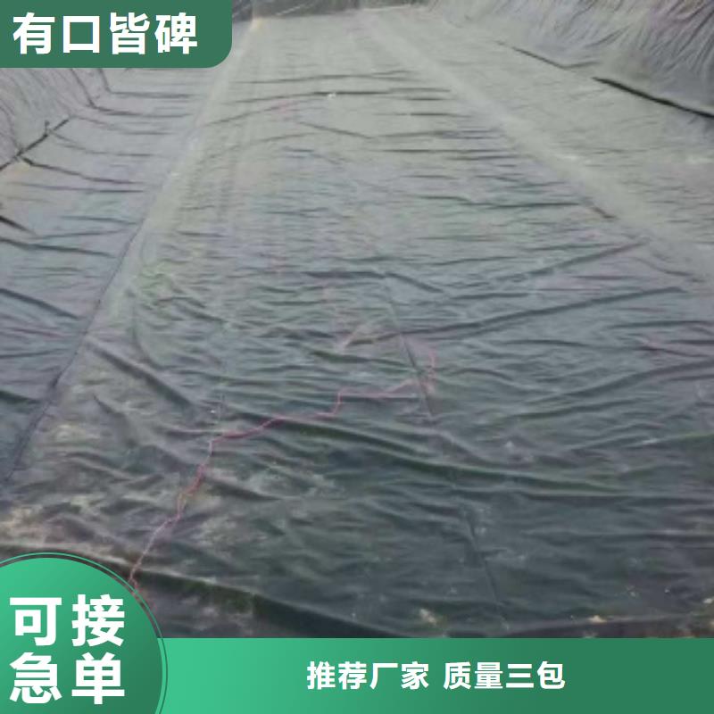 常年供应土工膜-大型厂家