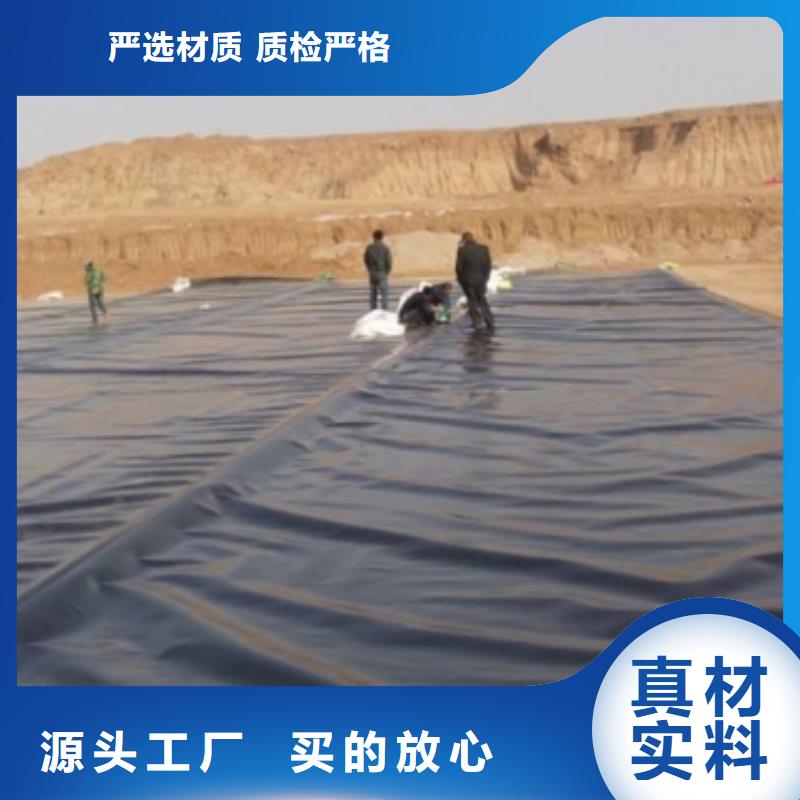 快速:土工膜厂家