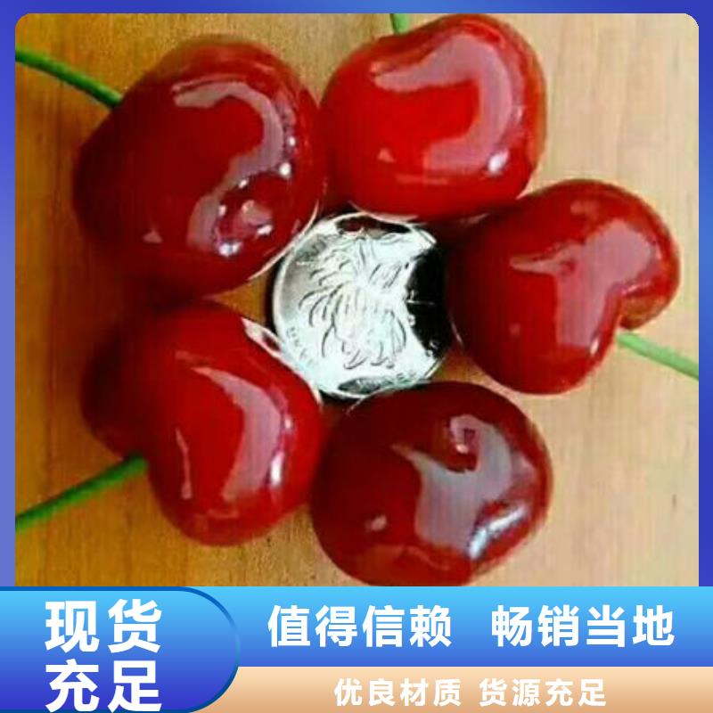樱桃苗回收