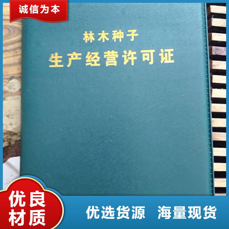 李子树苗现货充足