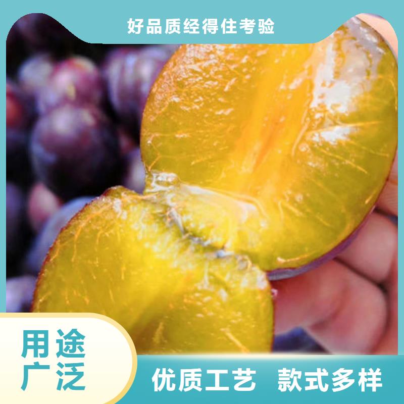 李子树苗欢迎新老客户来电咨询