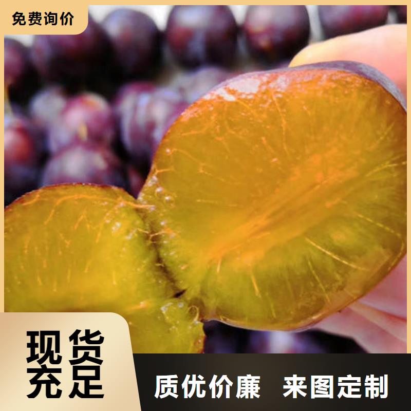 欢迎访问##李子树苗##厂家