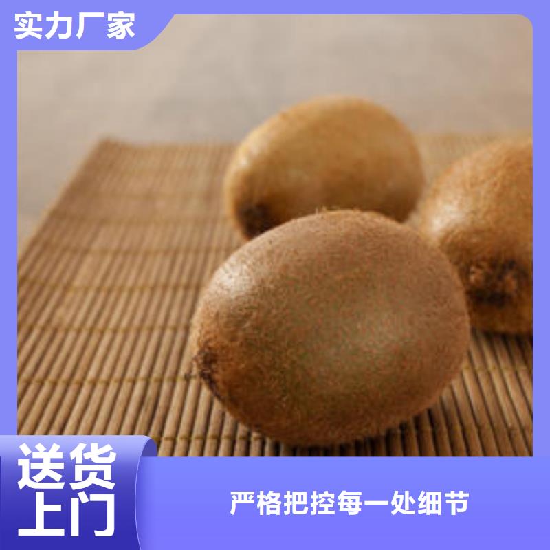 猕猴桃树苗生产厂家-型号齐全