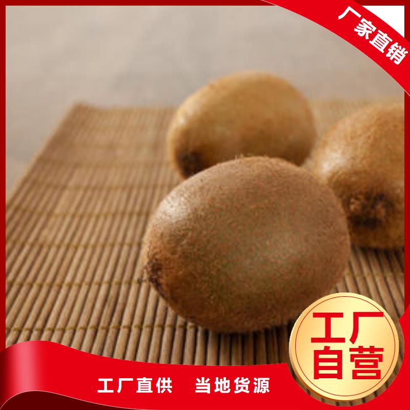 猕猴桃树苗-猕猴桃树苗品质保证