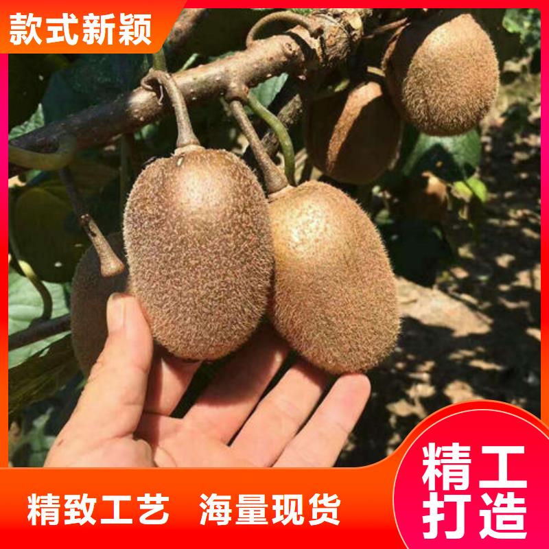 批发猕猴桃树苗价格