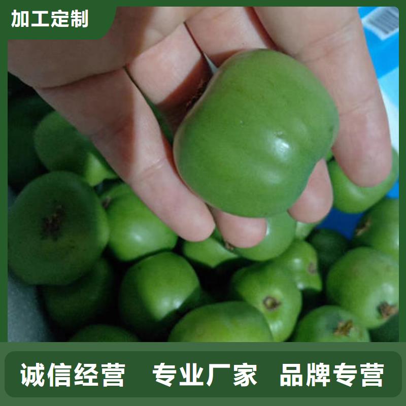 猕猴桃树苗低价保真