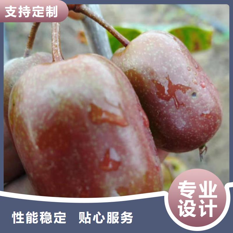 批发猕猴桃树苗价格
