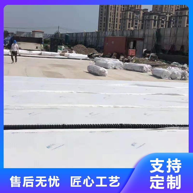 排水板厂家-点击领取样品