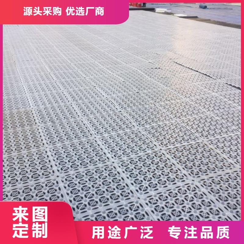 规格全的排水板生产厂家