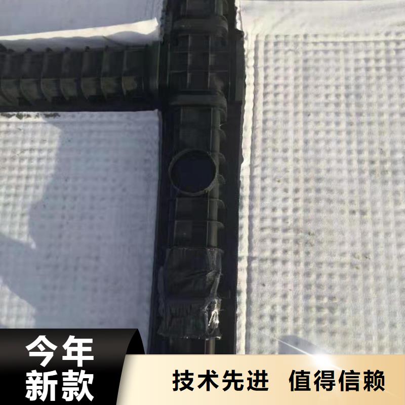 排水板销售报价