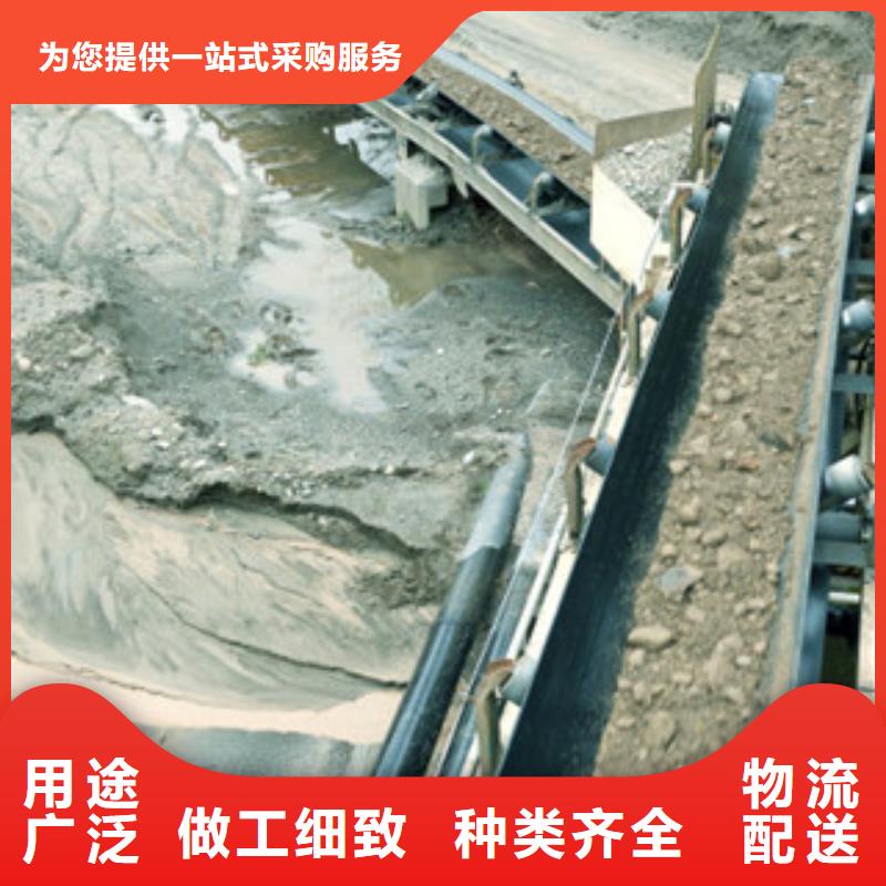 输送机_量身定制