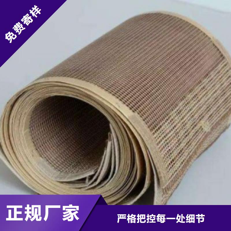 铁氟龙网带-正规厂家