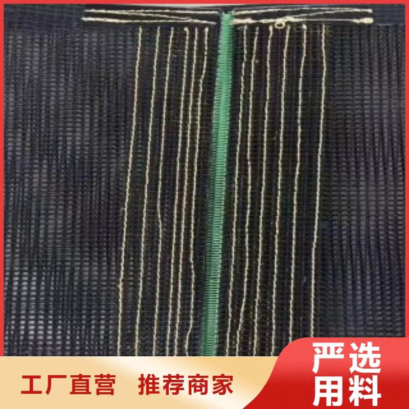 定制铁氟龙网带的批发商