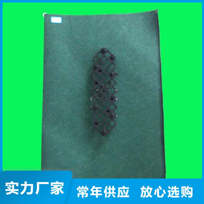 玄武经验丰富的生态袋经销商