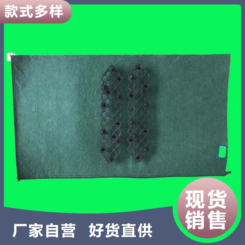 生态袋价格实惠工厂直供