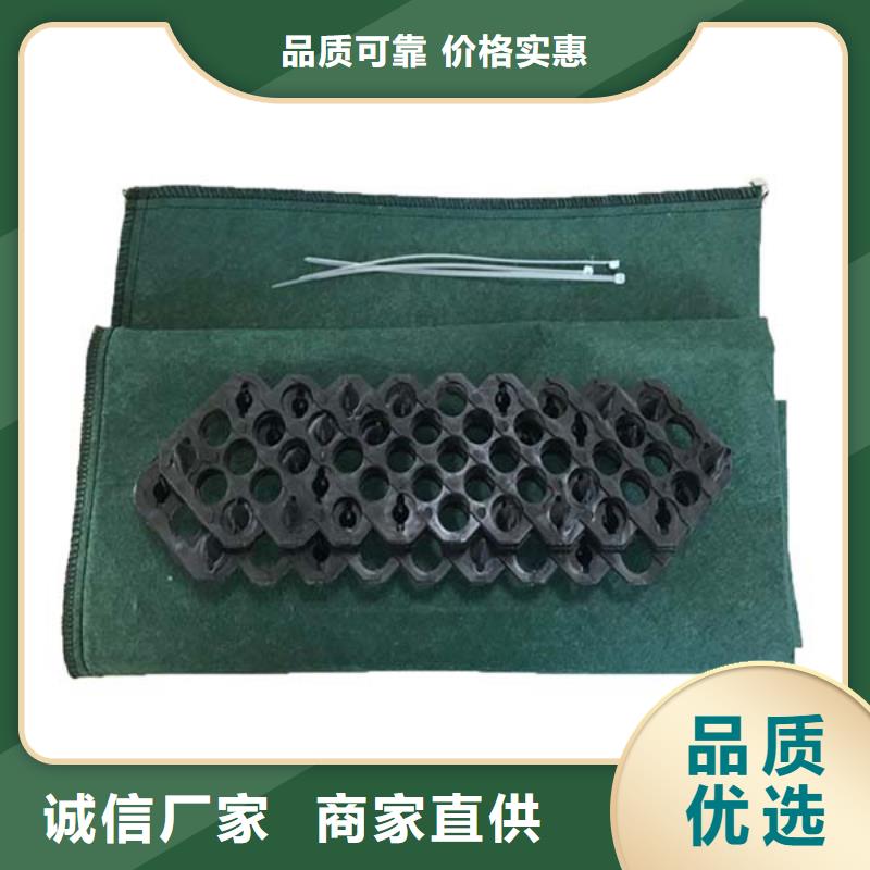 玄武生态袋正规生产厂家