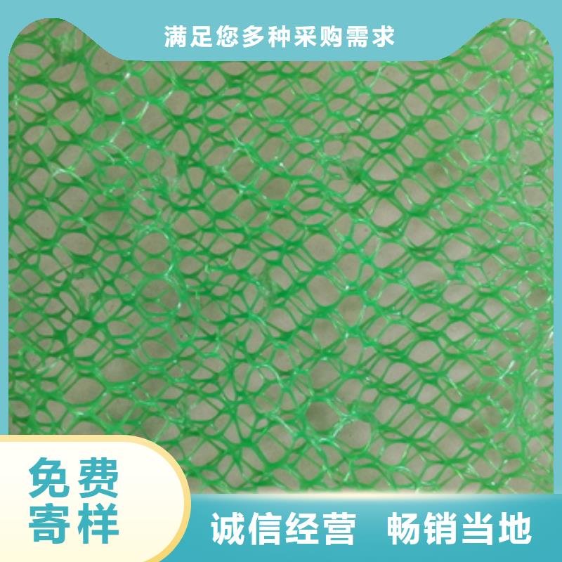 生产三维植被网的当地厂家满足多种行业需求