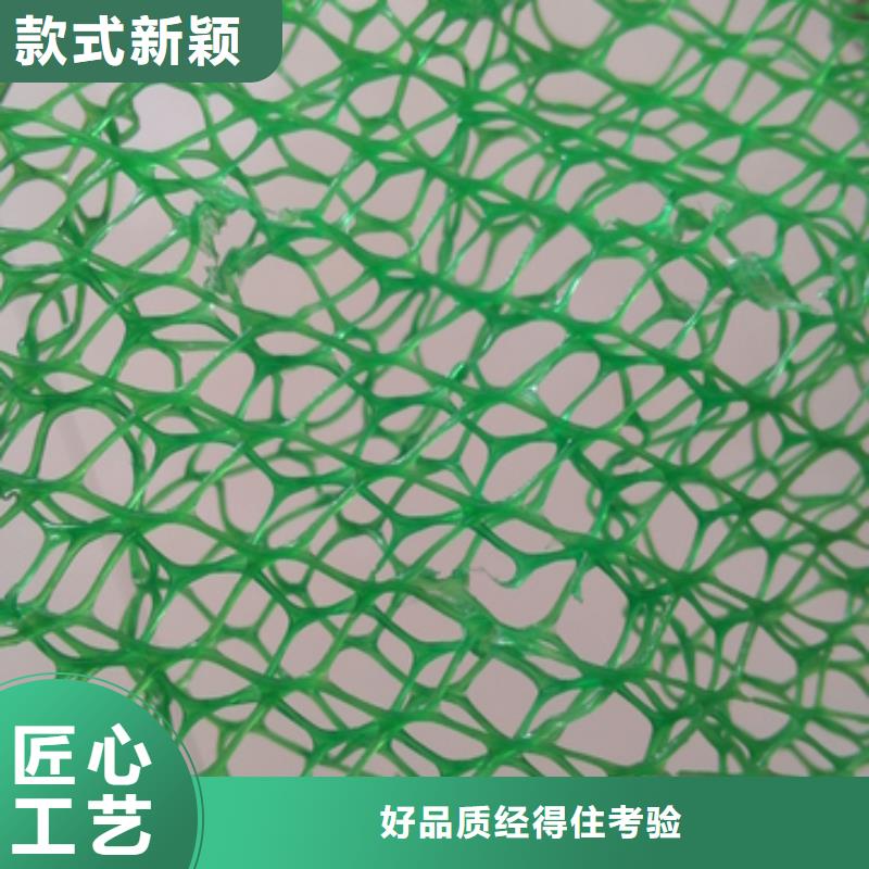 生产三维植被网的批发商当地供应商