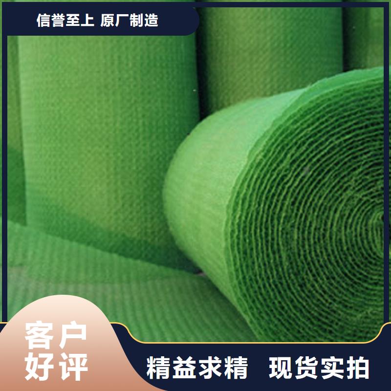 2025性价比高的#玄武三维植被网厂家#服务好