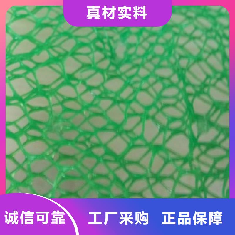 玄武三维植被网周期短价格优