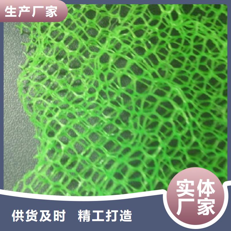 玄武供应批发三维植被网-全国配送