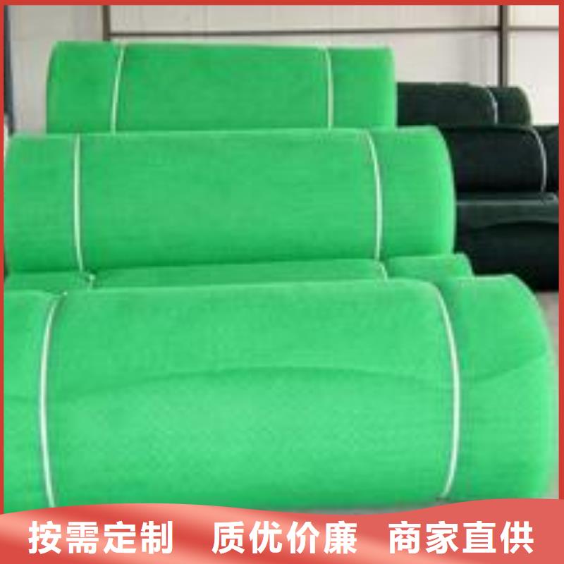 栖霞三维植被网实力工厂